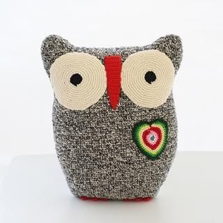 NL1002201129OWL Cushion