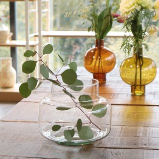NL1002220125  Transparant Vase