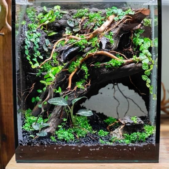 造形君 500ml - HIROSE WEB SHOP