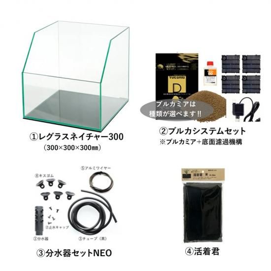 生まれのブランドで 178285802.jpg?cmsp_timestamp= その他