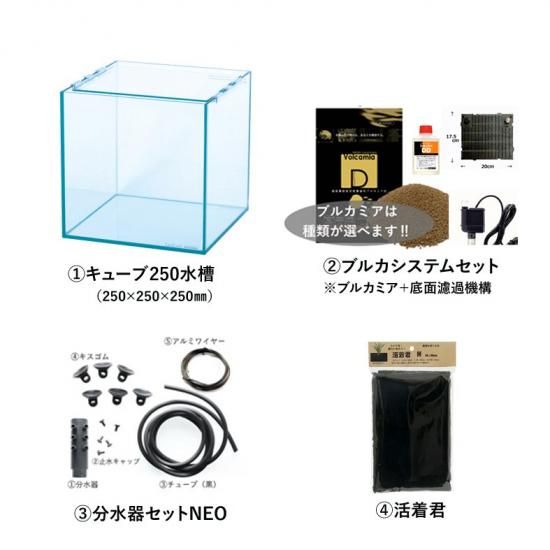 アクアテラリウム製作用 水槽セット（25cmキューブ） | アクア