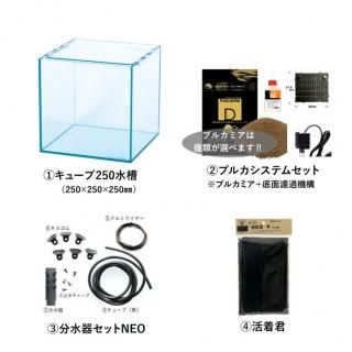 ƥꥦ 奻åȡ25cm塼֡
