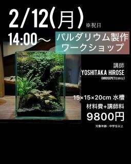 ¡Ú2024ǯ2·î12Æü³«ºÅ¡Û¥Ñ¥ë¥À¥ê¥¦¥àÀ½ºî¥ï¡¼¥¯¥·¥ç¥Ã¥×