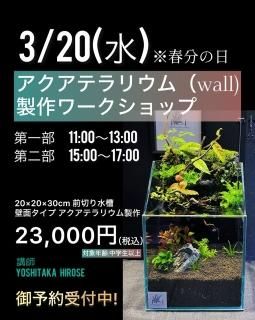 ¡Ú2024ǯ3·î20Æü³«ºÅ¡Û¥¢¥¯¥¢¥Æ¥é¥ê¥¦¥à¡ÉWall¡ÉÀ½ºî¥ï¡¼¥¯¥·¥ç¥Ã¥×