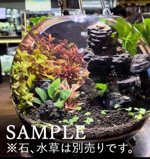 ぷくりうむ製作セット | 癒しの水槽 - HIROSE WEB SHOP