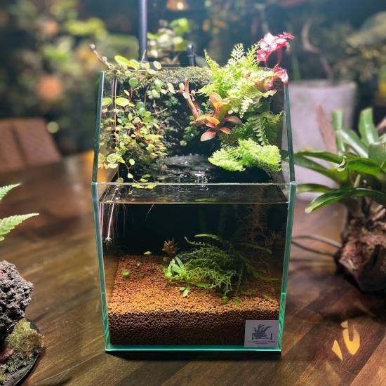 アクアテラリウム オールガラス水槽 完成品(20㎝&30㎝、滝 アクアテラリウム オールガラス水槽 完成品(20㎝&30㎝、滝