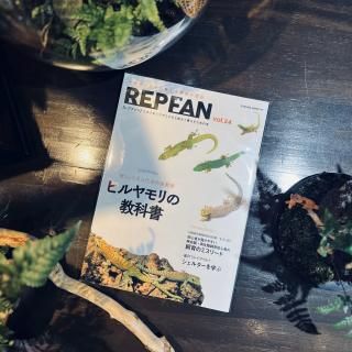 REPFAN vol.24