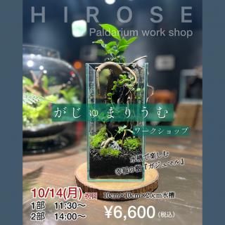 ¡Ú2024ǯ10·î14Æü³«ºÅ¡Û¤¬¤¸¤å¤Þ¤ê¤¦¤àÀ½ºî¥ï¡¼¥¯¥·¥ç¥Ã¥×