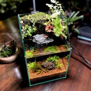 アクアテラリウム】完成品 - HIROSE WEB SHOP アクアテラリウム】完成品 - HIROSE WEB SHOP