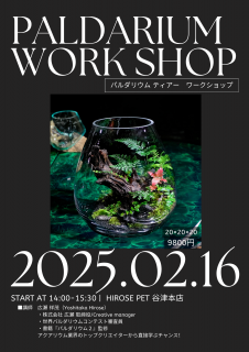 ¡Ú2025ǯ2·î16Æü³«ºÅ¡Û¥Ñ¥ë¥À¥ê¥¦¥à ¥Æ¥£¥¢¡¼À½ºî¥ï¡¼¥¯¥·¥ç¥Ã¥× ¡Á¥³¥í¥ó¤ÈÂ礤Ό¤ÎÃæ¤ÎÀ¤³¦¡Á