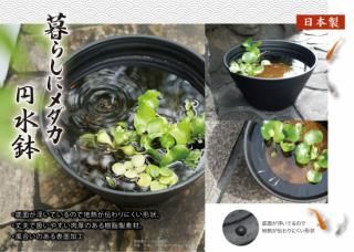 ߿ȭ | ľ27?<img class='new_mark_img2' src='https://img.shop-pro.jp/img/new/icons13.gif' style='border:none;display:inline;margin:0px;padding:0px;width:auto;' />