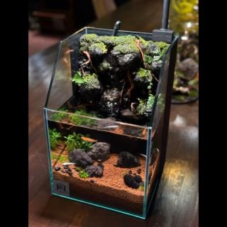 ƥꥦ ROCK WALL ʡü<img class='new_mark_img2' src='https://img.shop-pro.jp/img/new/icons14.gif' style='border:none;display:inline;margin:0px;padding:0px;width:auto;' />
