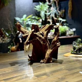 ơήڡʥꥨ쥯ȡ001<img class='new_mark_img2' src='https://img.shop-pro.jp/img/new/icons13.gif' style='border:none;display:inline;margin:0px;padding:0px;width:auto;' />