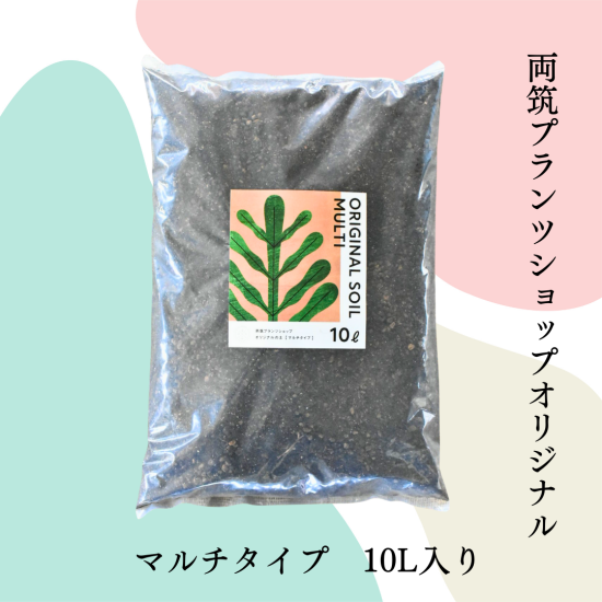 斑入植物集 全3巻セット