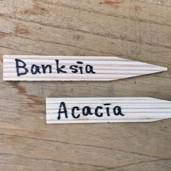 すぎこだち プランターネームプレート 販売中