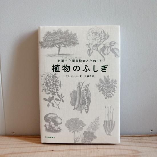 斑入植物集 | 植物図鑑 - 植木農家のお店 通販はこちら「両筑 斑入植物集 | 植物図鑑 - 植木農家のお店 通販はこちら「両筑