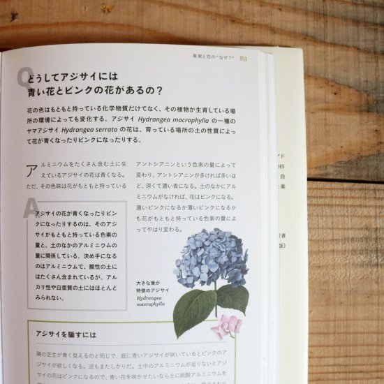 英国王立園芸協会とたのしむ 植物のふしぎ 両筑プランツショップで販売