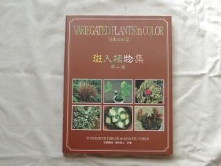 斑入植物集 | 植物図鑑 - 植木農家のお店 通販はこちら「両筑