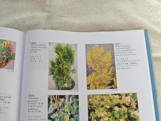 斑入植物集 第3巻 | 珍しい植物の図鑑 - 植木農家のお店 通販は