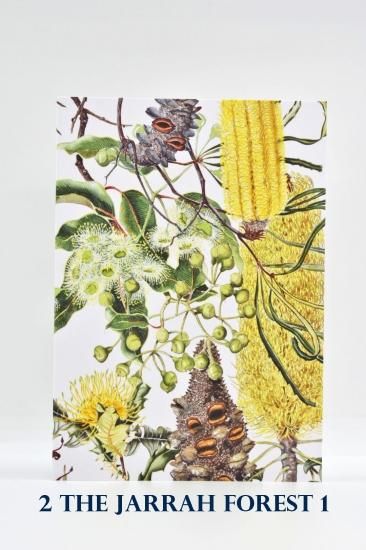 オーストラリア ワイルドフラワーカード | セール - 植木農家の