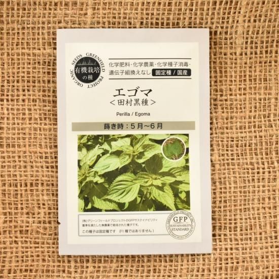 オーガニック エゴマ 田村黒種 固定種 のタネ 販売中 オーガニック エゴマ 田村黒種 固定種 のタネ 販売中