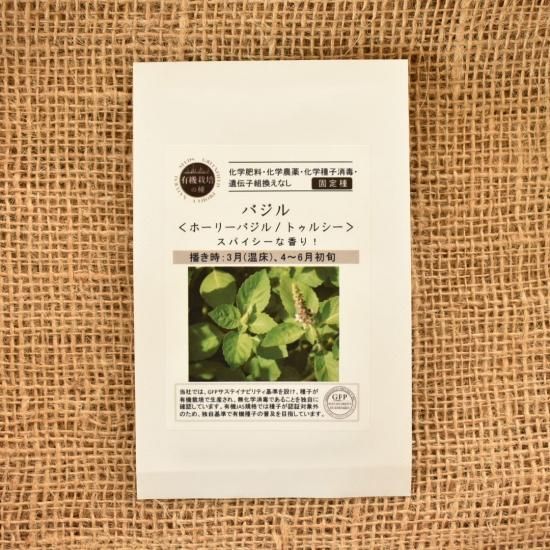 ホーリーバジルのタネ 販売中