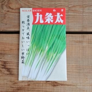 九条太ネギ　(7ml,約1200粒入)　光郷城　畑懐(浜名農園)の商品画像