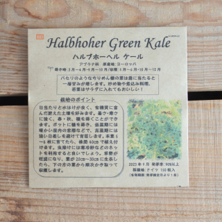 ハルブホーヘル ケール　[有機種子・固定種]　たねの森の商品画像