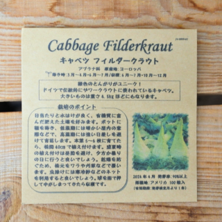キャベツ　フィルダークラウド (100粒入)　[有機種子・固定種]　たねの森の商品画像