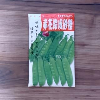 ֲ̥䤨ɤɥ 롡Ȫ(̾)ξʲ