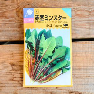赤茎ミンスター法蓮草　ほうれん草　小袋（アップシード種子・25ml）中原採集場の商品画像
