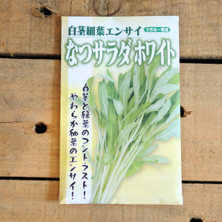 [うちなー育成]　なつサラダ　ホワイト　エンサイ　空芯菜　[小袋 約280粒入り] フタバ種苗

の商品画像