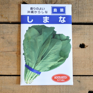 しまな　沖縄からし菜　小袋[約2500] フタバ種苗

の商品画像