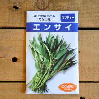 つるなしエンサイ　空芯菜　小袋【約280粒入】フタバ種苗

の商品画像