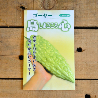[うちなー育成]　島心 ゴーヤー　小袋【約9粒入】フタバ種苗

の商品画像