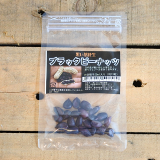 ブラックピーナッツ　落花生　小袋(約14粒入) 　フタバ種苗

の商品画像