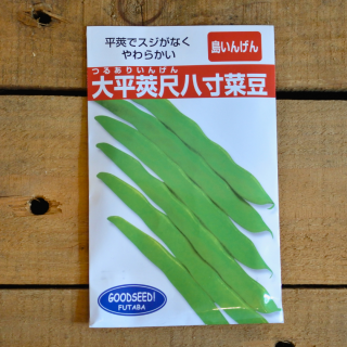 沖縄 島インゲン いんげん 大平莢尺八寸菜豆 小袋詰(30ml) フタバ種苗

の商品画像