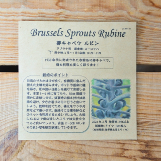 芽キャベツ　ルピン　[有機種子・固定種]　たねの森の商品画像