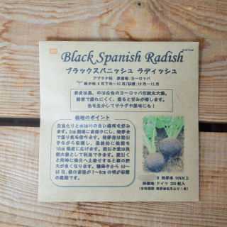 ブラックスパニッシュラディッシュ　(約200粒入)　二十日大根　[有機種子・固定種]　たねの森の商品画像