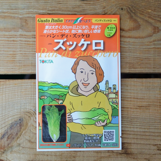 <img class='new_mark_img1' src='https://img.shop-pro.jp/img/new/icons5.gif' style='border:none;display:inline;margin:0px;padding:0px;width:auto;' />[期限切れ間近につきセール]  ズッケロ　パン　ディズッケロ　ラディッキオ　チコリ　イタリア野菜　50粒入　トキタ種苗の商品画像