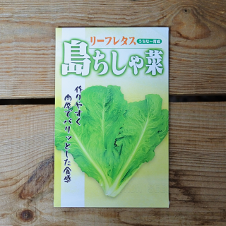 <img class='new_mark_img1' src='https://img.shop-pro.jp/img/new/icons41.gif' style='border:none;display:inline;margin:0px;padding:0px;width:auto;' />[期限切れ間近につきセール]  [うちなー育成]　島ちしゃ菜　約1000粒入  フタバ種苗の商品画像