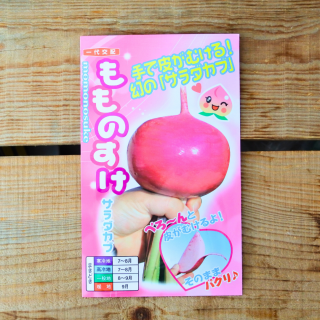 かぶ　もものすけ　サラダカブ　小袋(1ml：約200粒)　ナント種苗の商品画像