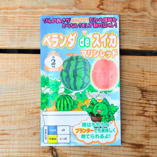 ナント種苗 大玉スイカ ナショナル【取り寄せ注文】*種子有効