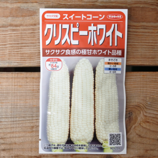 ȥ ꥹԡۥ磻ȡȤȥ(35γ)Υͤξʲ