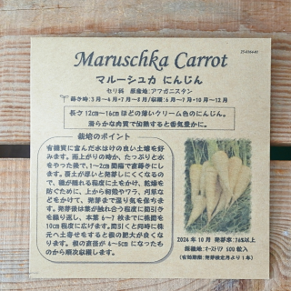 マルーシュカ　にんじん　(約500粒入)　人参　ニンジン　[有機種子・固定種]　たねの森の商品画像