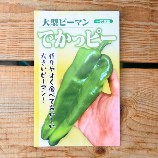 大型ピーマン　でかっピー　小袋【約10粒入】フタバ種苗の商品画像