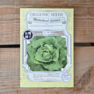 サラダ菜　リーフレタス　バターヘッドレタス　(30粒入 )　 [自然農法の種・固定種・国産]　グリーンフィールドプロジェクトの商品画像