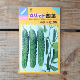 カリット四葉胡瓜　きゅうり　キュウリ 小袋（8粒）F1品種 　中原採種場
の商品画像