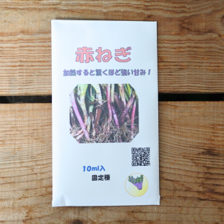 ֤ͤͥ10ml(1200γ)[]μ