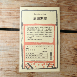 𽣴 (3ml) 롡Ȫ(̾)ξʲ